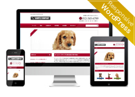 タイアップテーマNo.043[smart043]