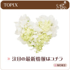 サンプルイメージ小１