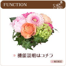 サンプルイメージ小２