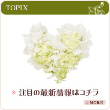 サンプルイメージ小１