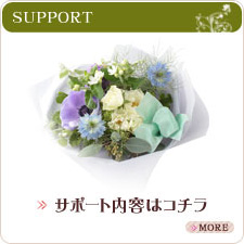 サンプルイメージ小３