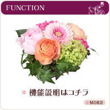 サンプルイメージ小２