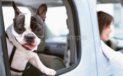 �T���v���C���[�W