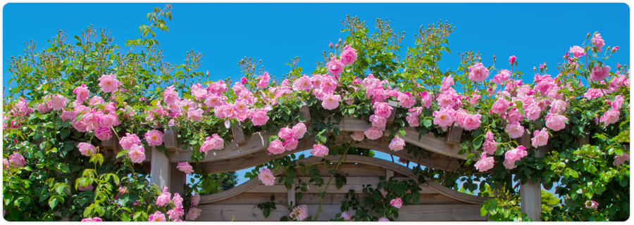 キャッチコピー