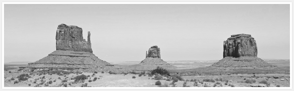 サンプルサイト