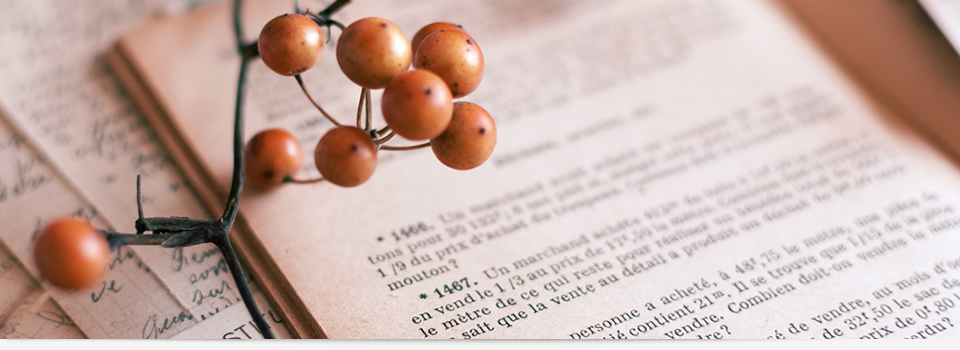 サンプルサイト