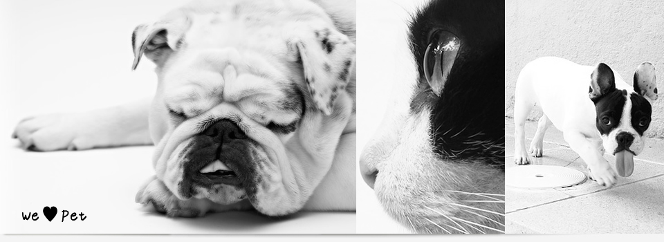 サンプルサイト