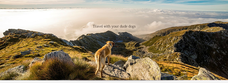 サンプルサイト