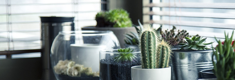 Just another WordPress site