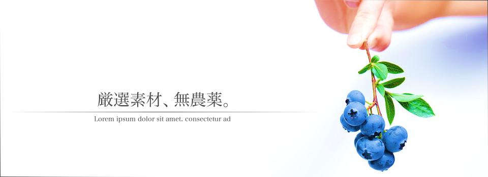 サンプルサイト