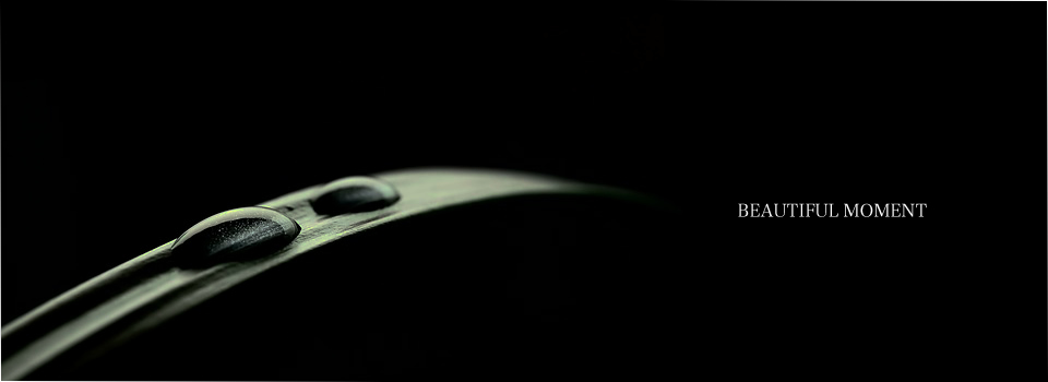 サンプルサイト